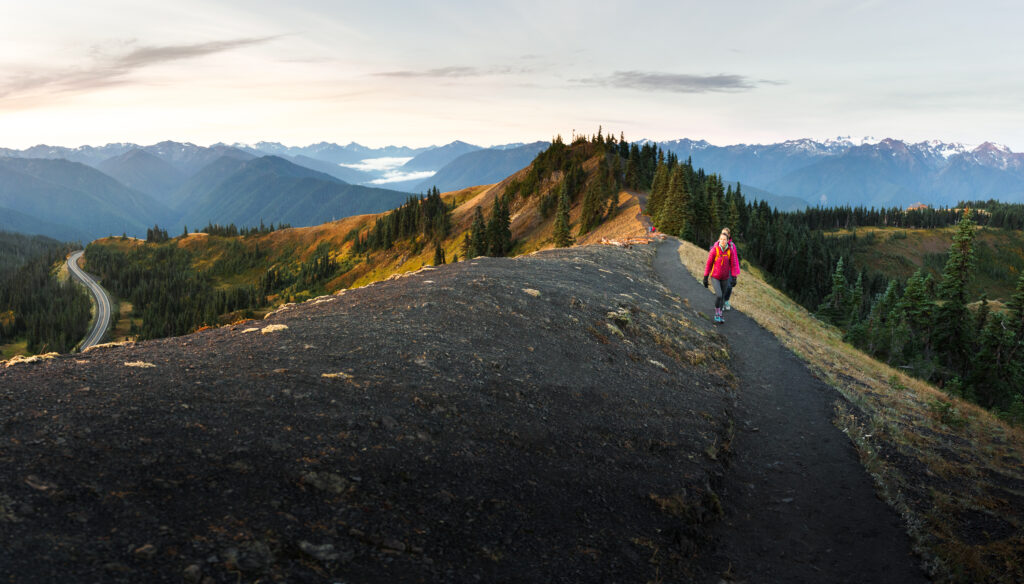 Photo of people walking atop Hurricane ridge with mountain view in background. 