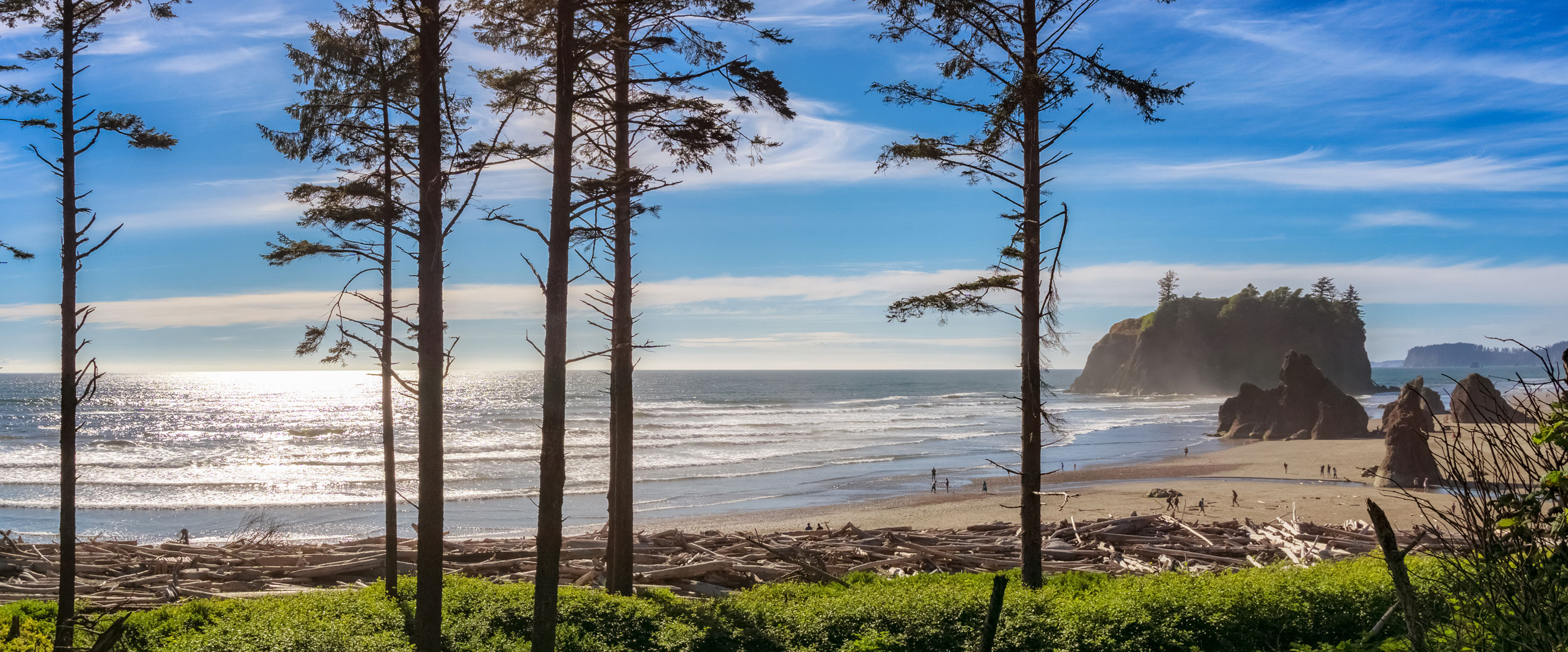 Thank You For Entering The Olympic Peninsula WA Official Tourism Site The Coast Is Clear Olympic Peninsula 