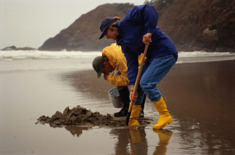 digging clams on beach on the Olympic Peninsula