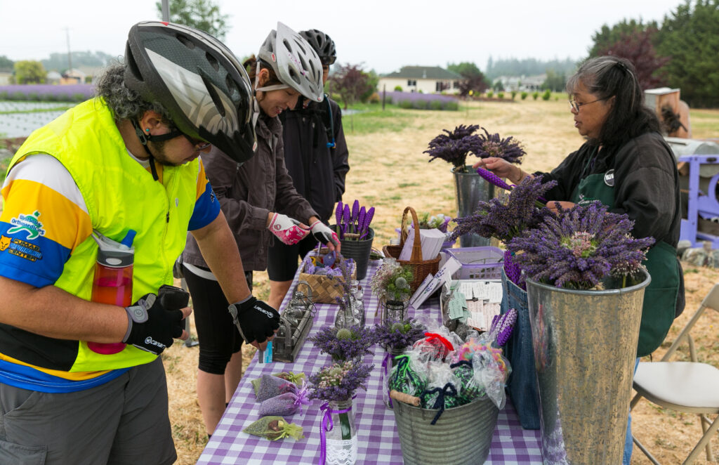 Tour de Lavender image on Runs, Races and Rides in 2024 webpage on Olympic Peninsula dot org