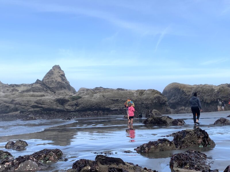 Photo of a family on a beachcombing adventure on the Olympic Peninsula