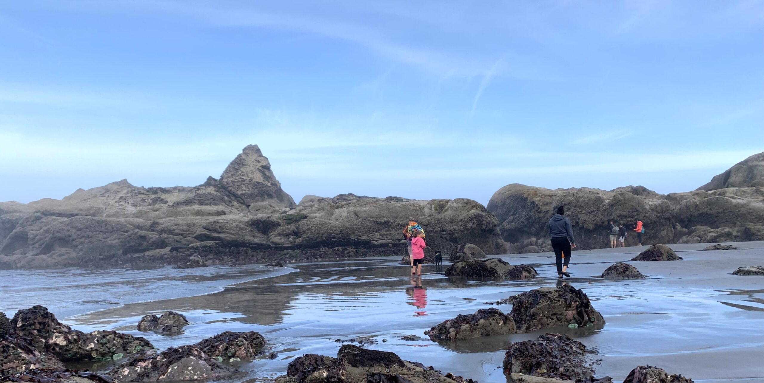 Photo of a family on a beachcombing adventure on the Olympic Peninsula