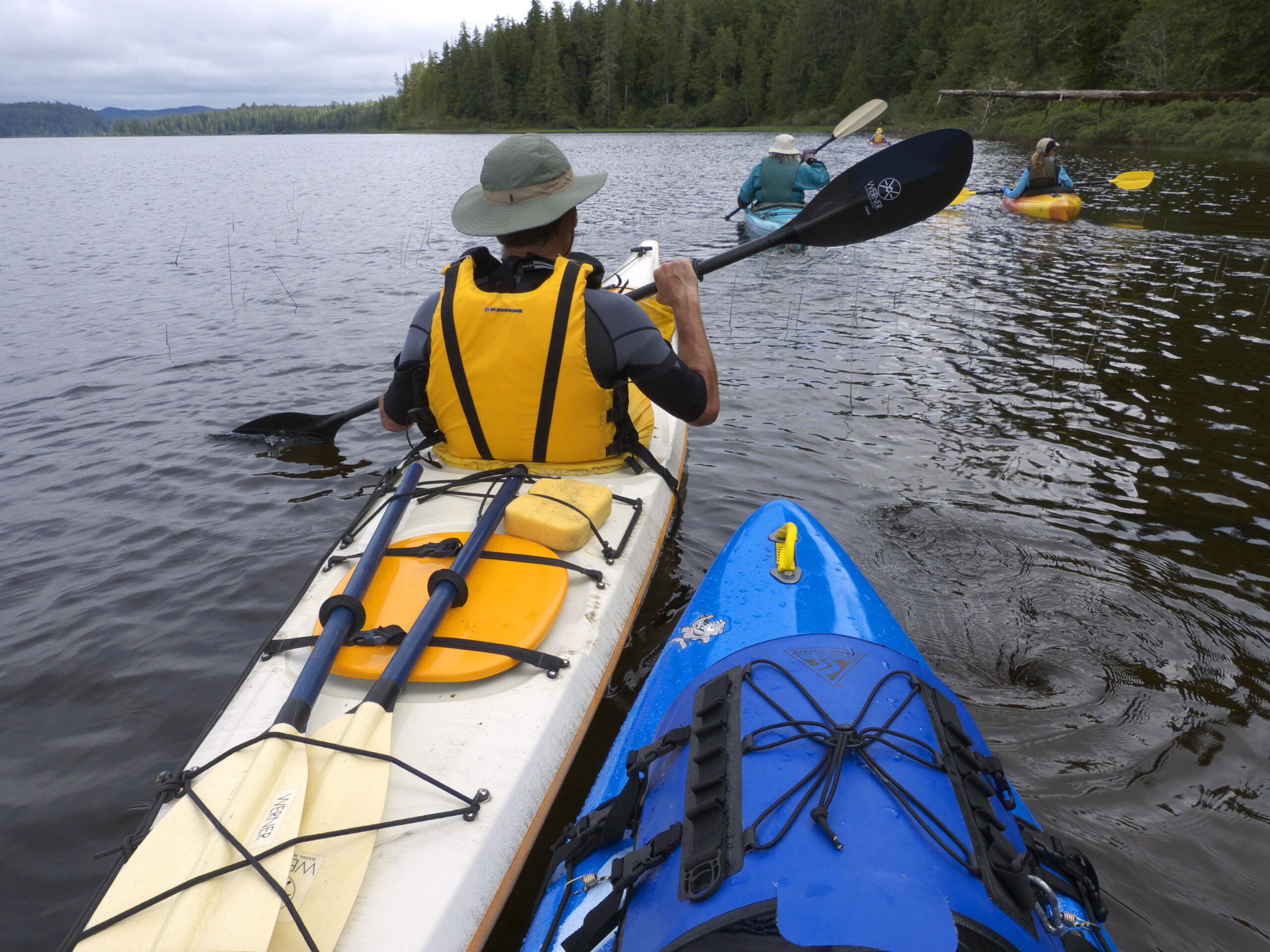 Embark on a family adventure in Clallam County by kayaking freshwater bay