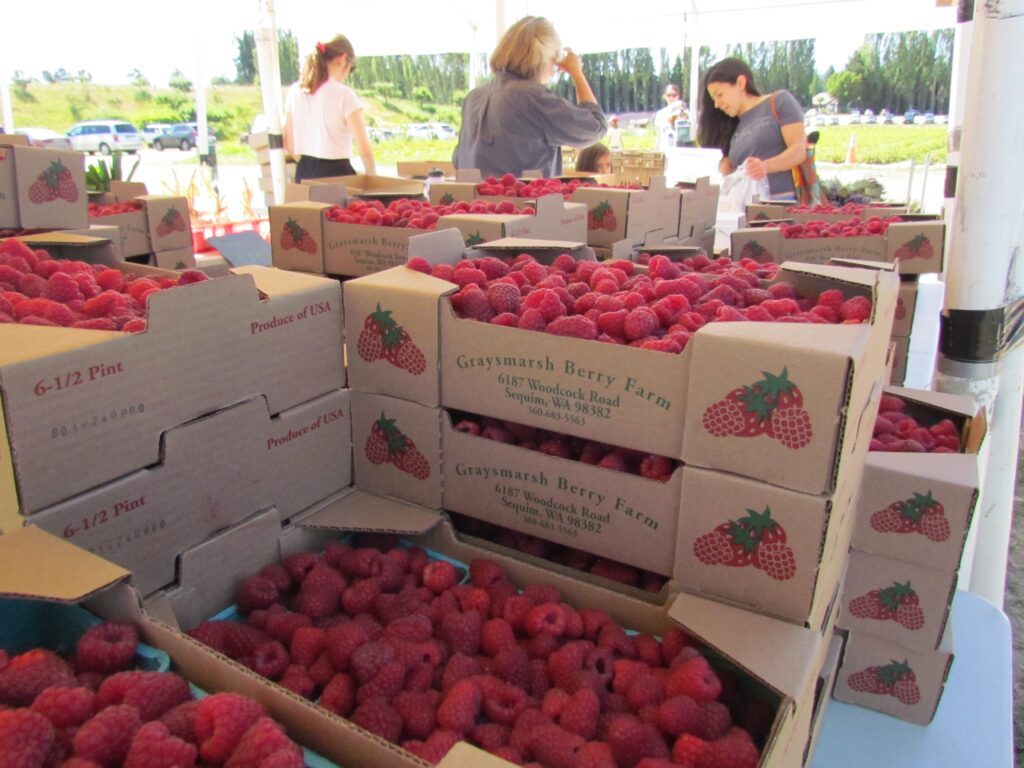 Graymarsh Berries -The Bounty of the Sequim Dungeness Valley