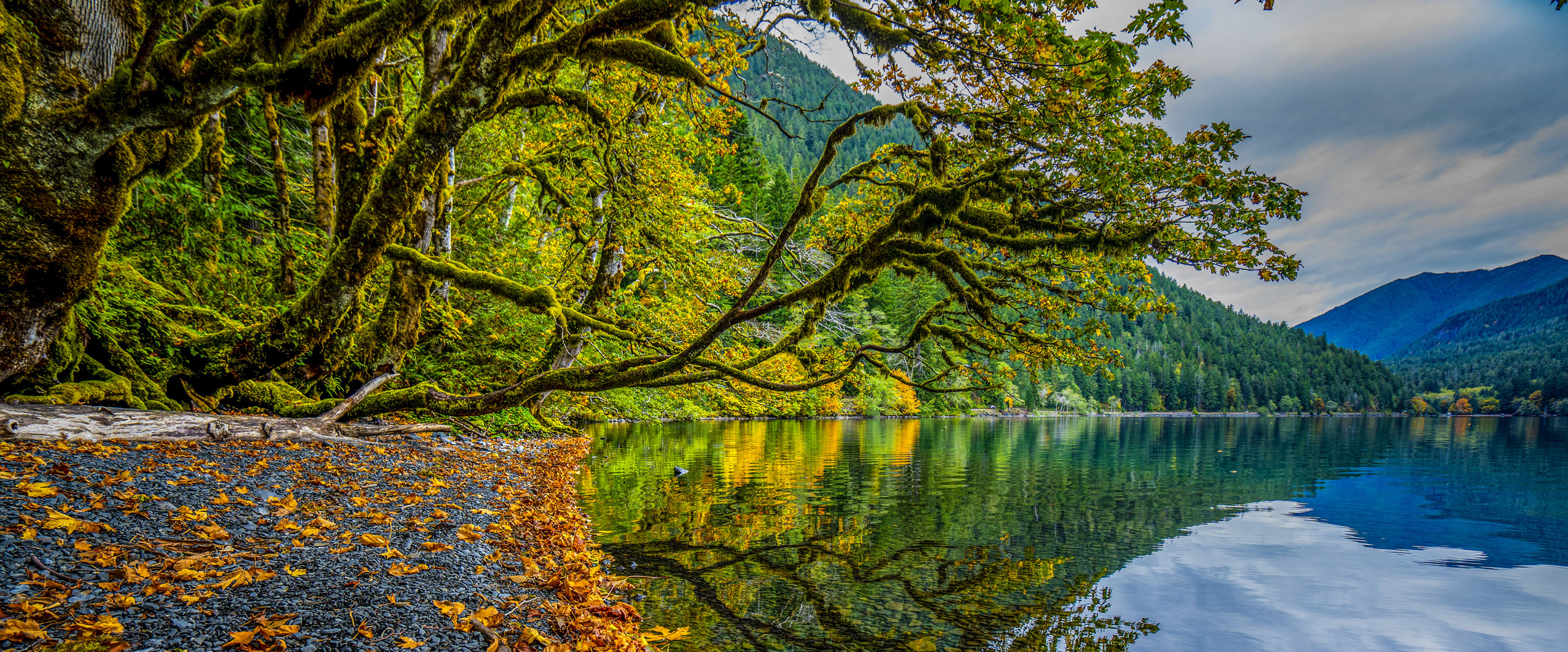 Olympic Peninsula Hydrology Map — Mitchell Geography