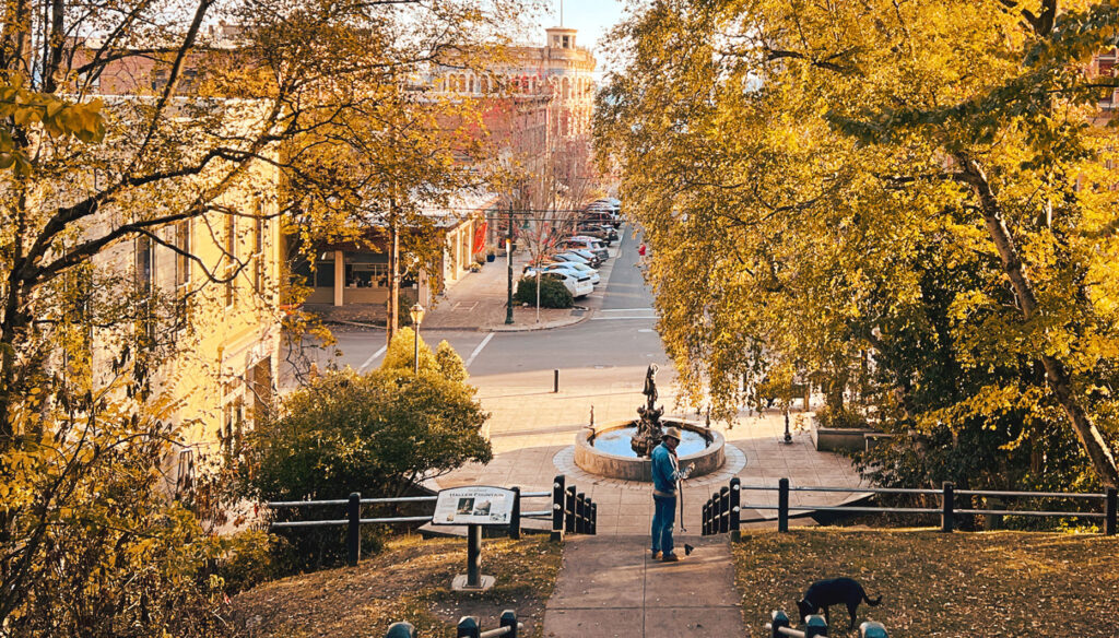 Fall Leaves Frame Downtown Port Townsend, Washington. A man with his dog stands at the bottom of the steps overlooking downtown.