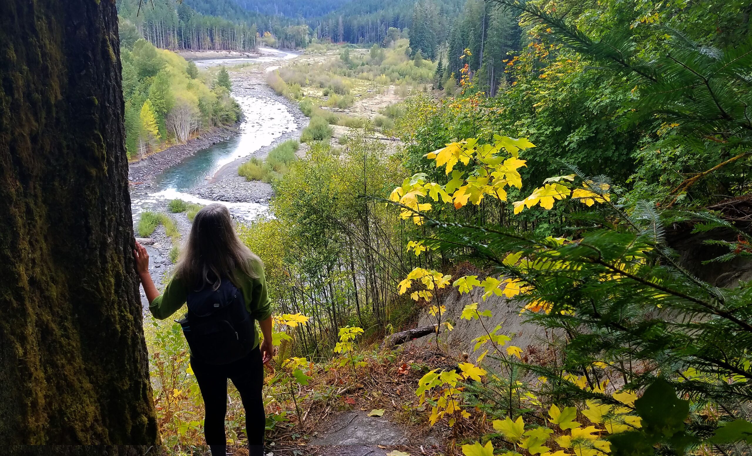 Photo of person overlooking the Elwha River