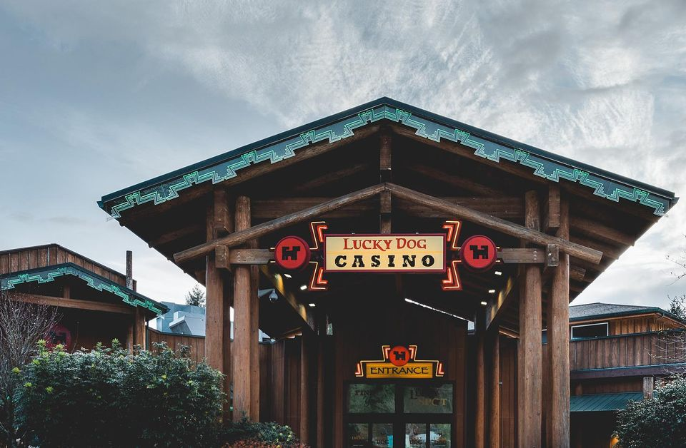 Photo of Lucky Dog Casino