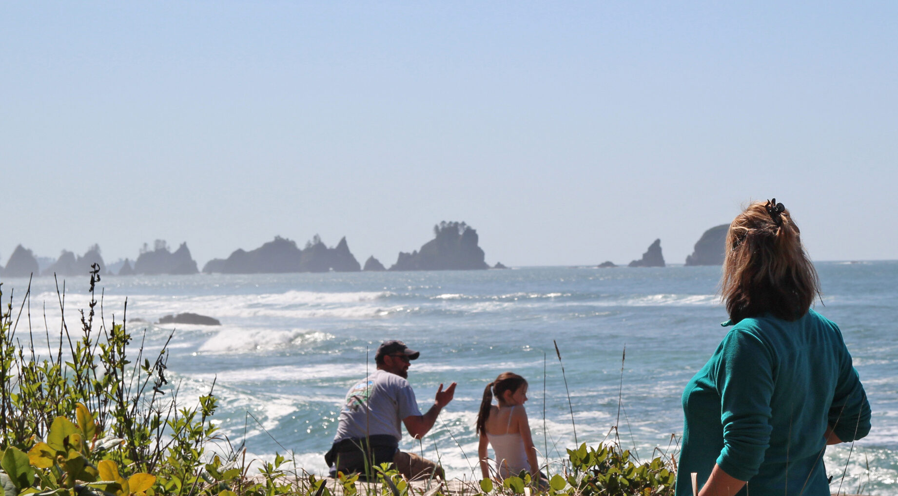 Olympic national park to forks