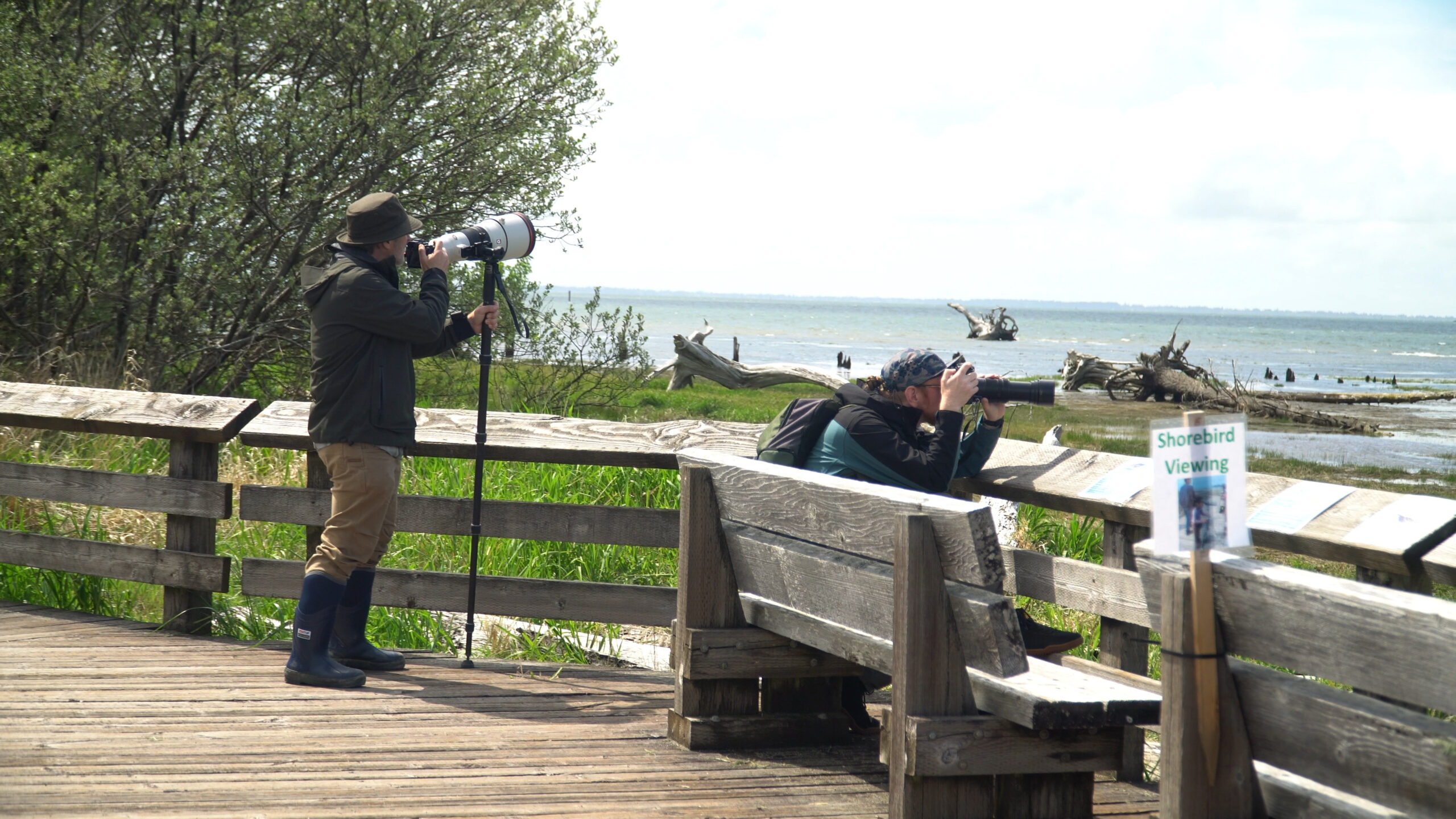 Birdwatchers observing the wildlife at the National Wildlife Refuge in Hoquiam