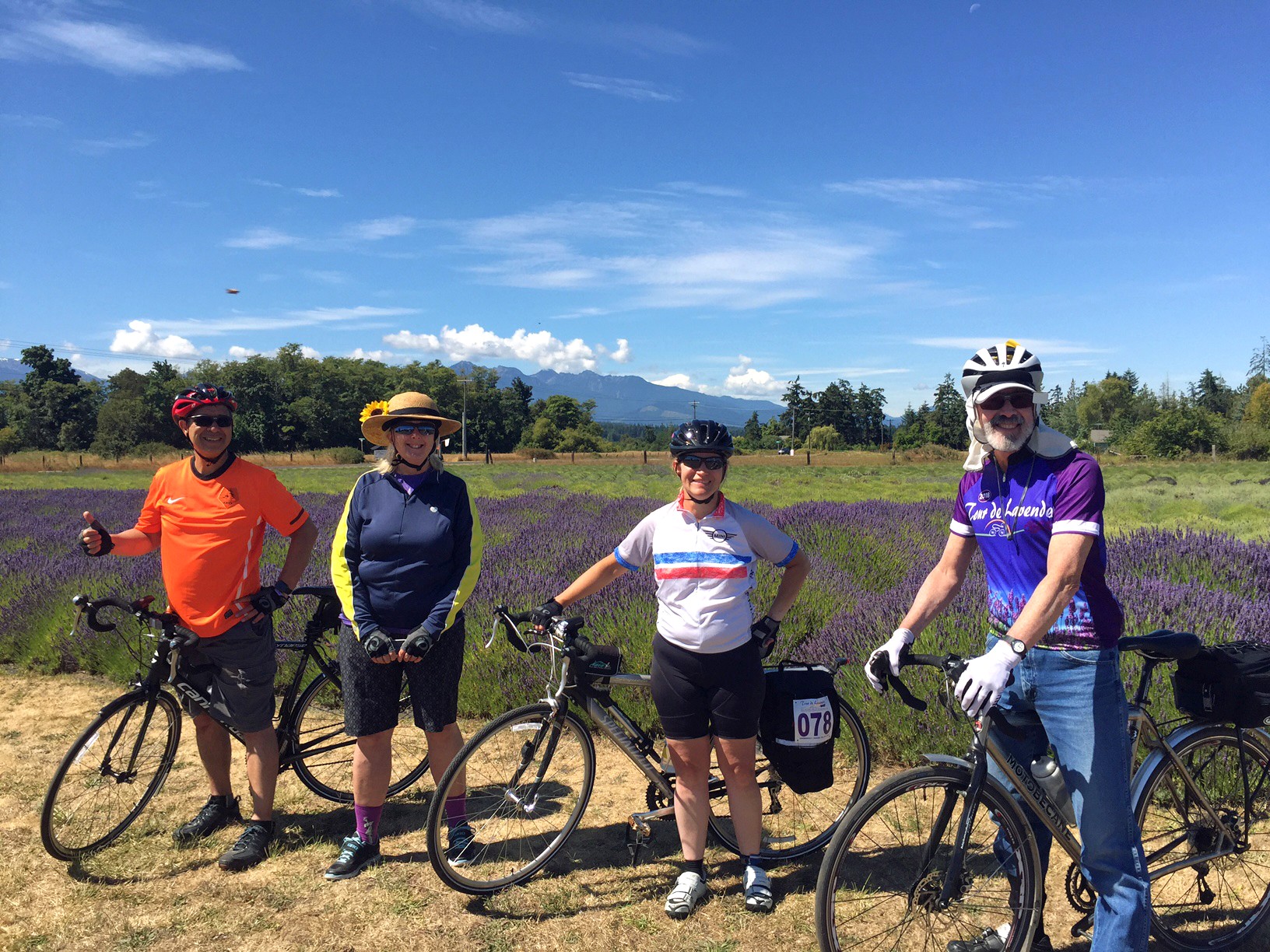 Tour de Lavender cycling event - Summer on the Olympic Peninsula