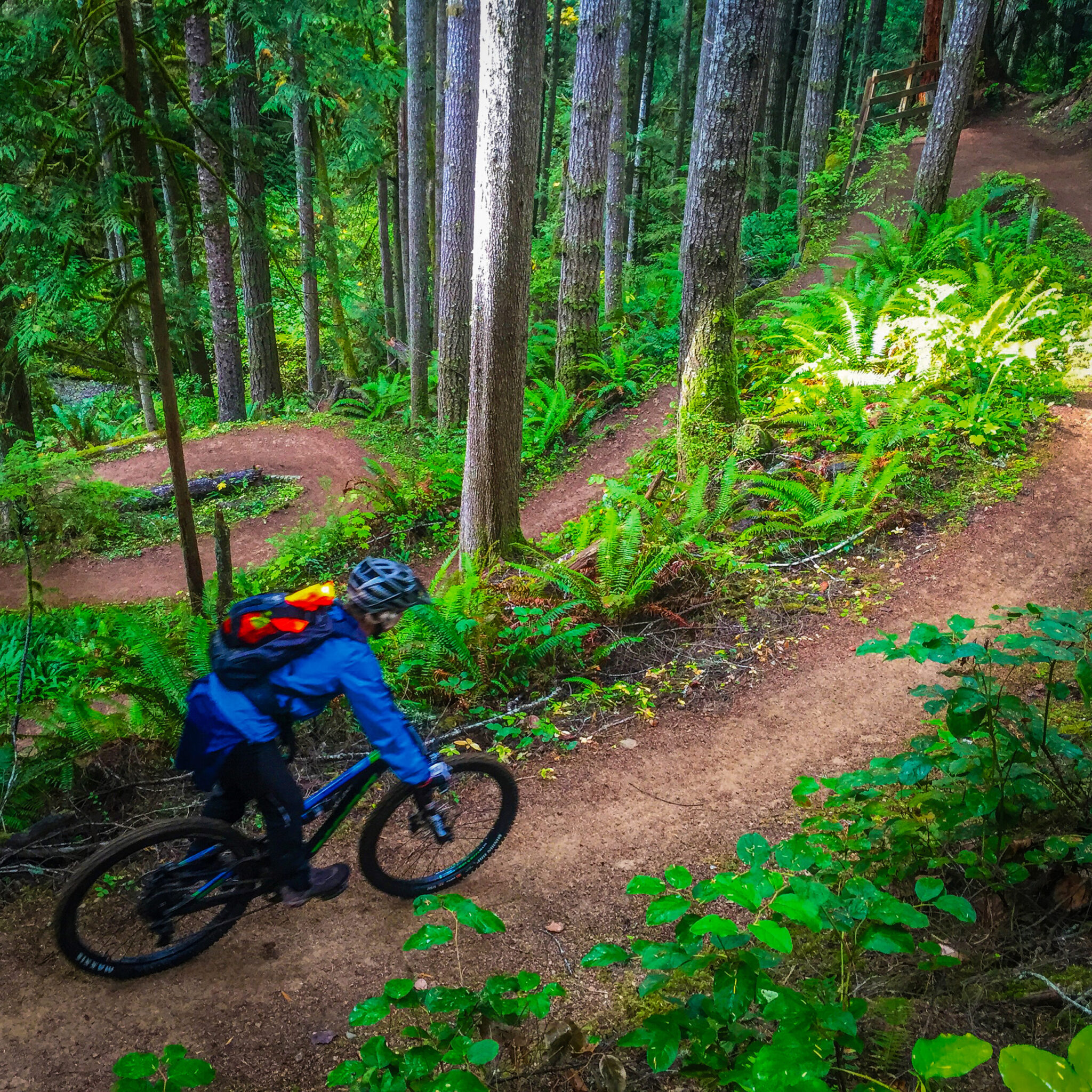 Mountain biker on Olympic Discovery Trail
