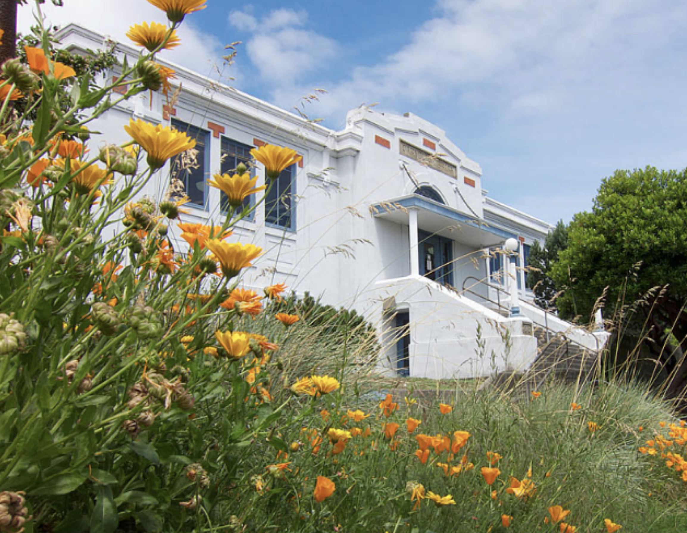 Settle into the Literary life in Port Townsend by exploring the Port Townsend Public Library (pictured). The building is a 1913 art deco Carnegie building. 