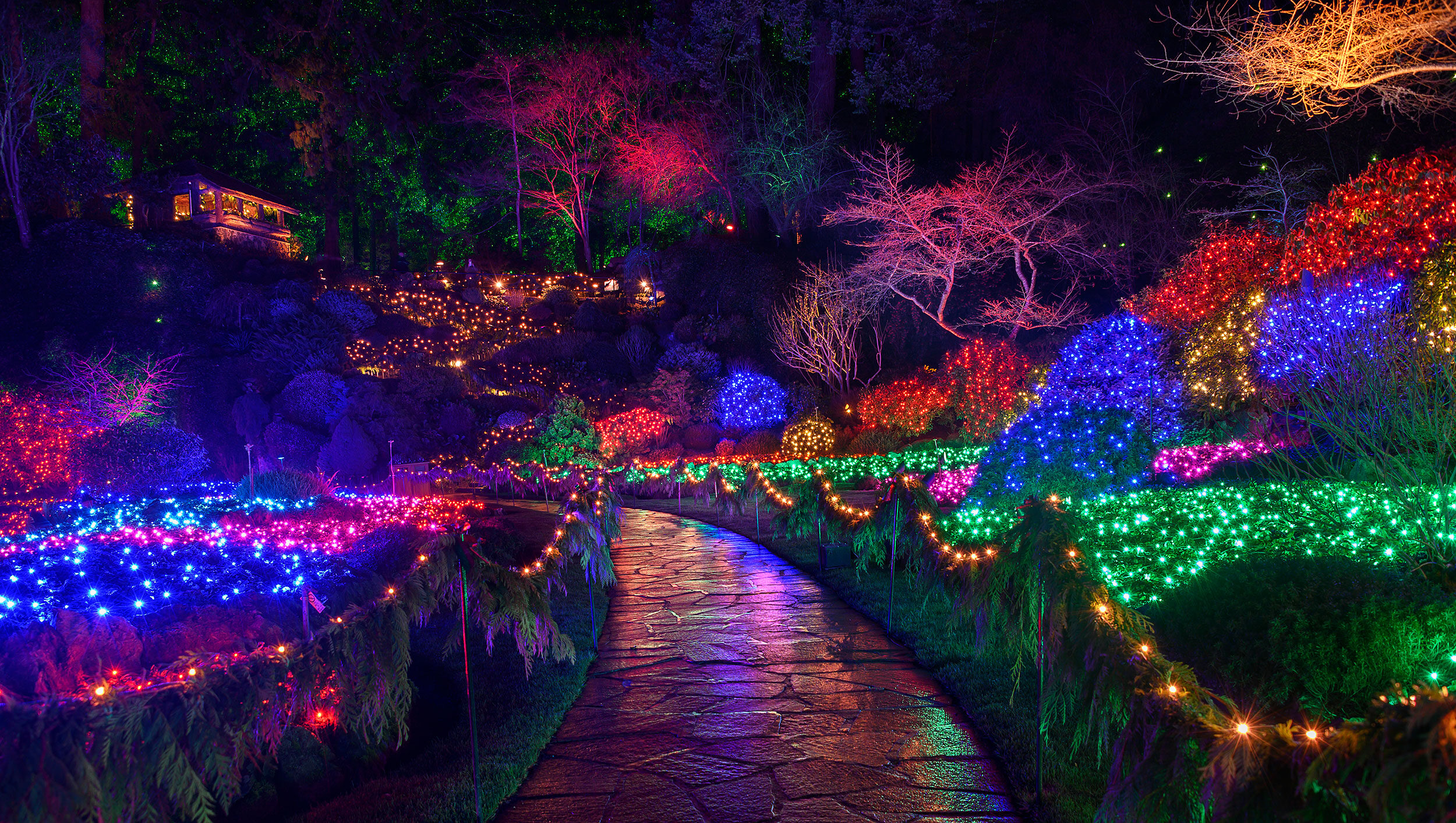 Photo of a Christmas light display at Butchart Garden in Victoria B.C.