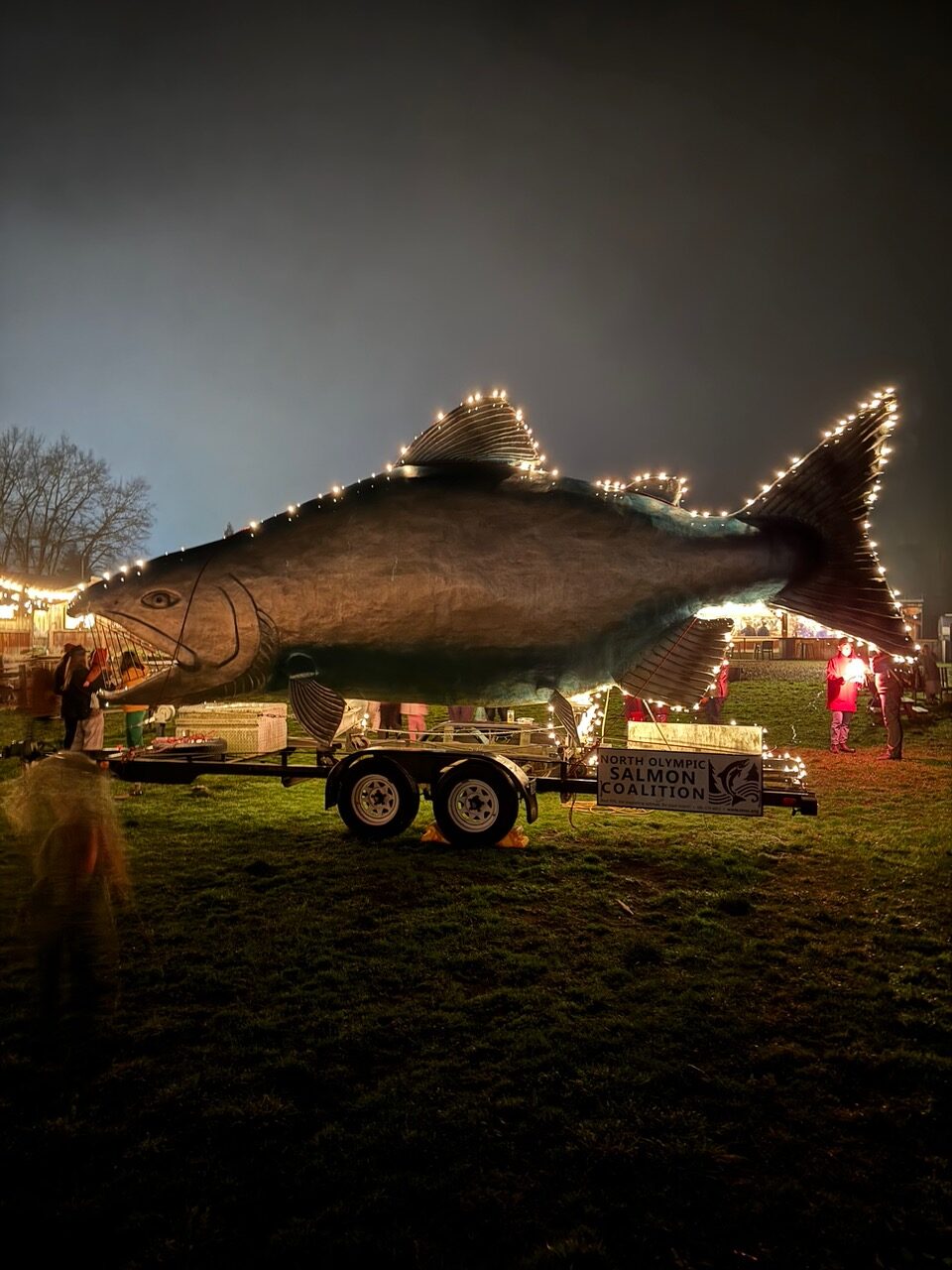 Photo of a giant silver salmon scultpure with white string lights wrapped around the center of it. Photo was taken during Fishes and Wishes at Finnriver Cidery