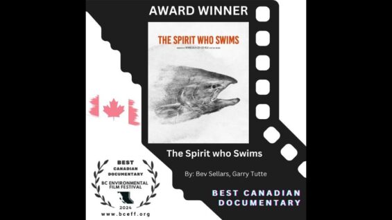 Dungeness River Nature Center River Center Film Series posts for The Spirit Who Swims