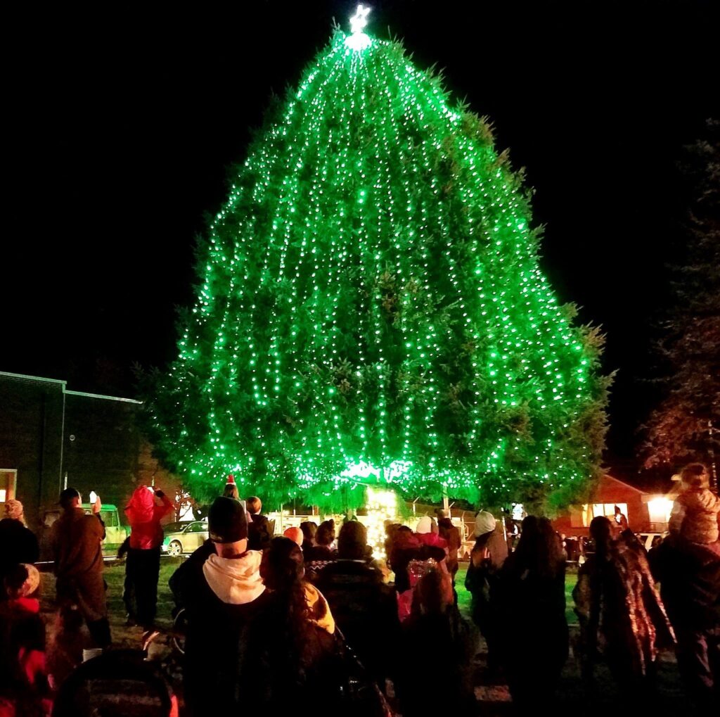 photo of tree lighting in Shelton, WA
