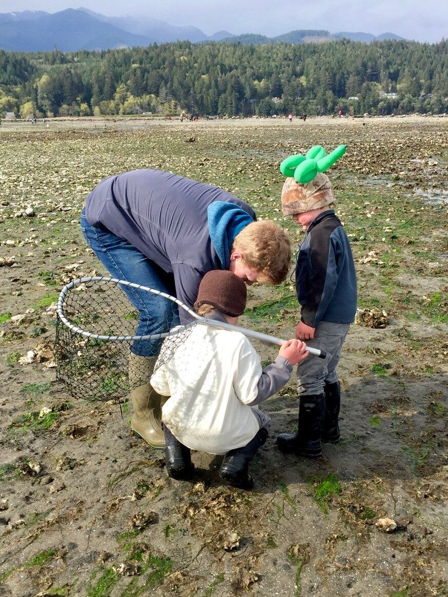 photo of three children discovering shellfish at low tide on the Hood Canal in Washington state | Falling for the Olympic Peninsula's Hood Canal (blog)