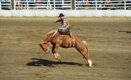 photo of someone riding a horse at a rodeo