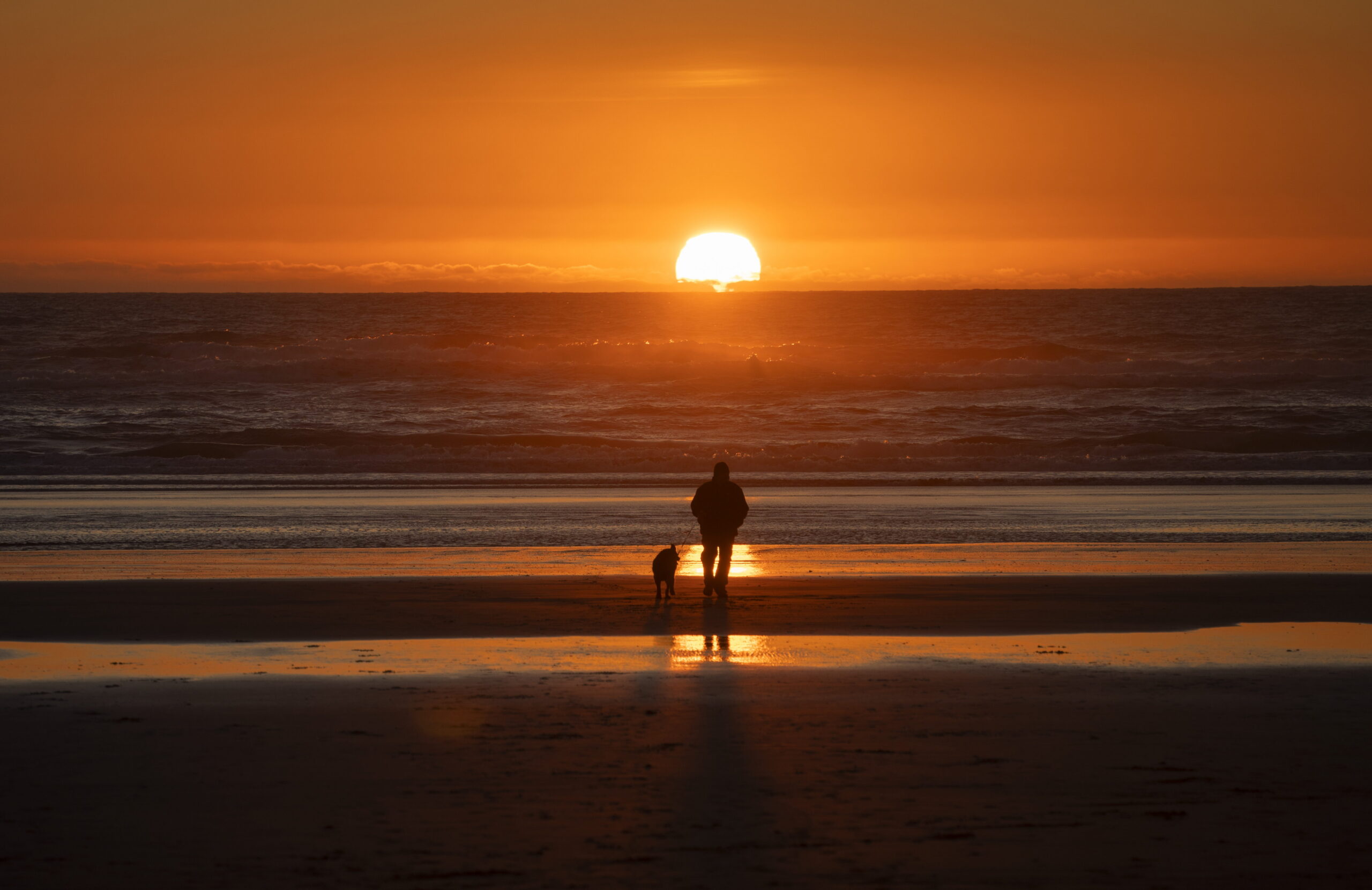 Photo of Kalaloch Beach at sunset (located on the Olympic Peninsula)