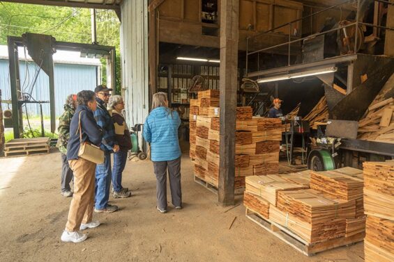 Photo of people partaking in a logging and mill tour in Forks, WA on the Olympic Peninsula