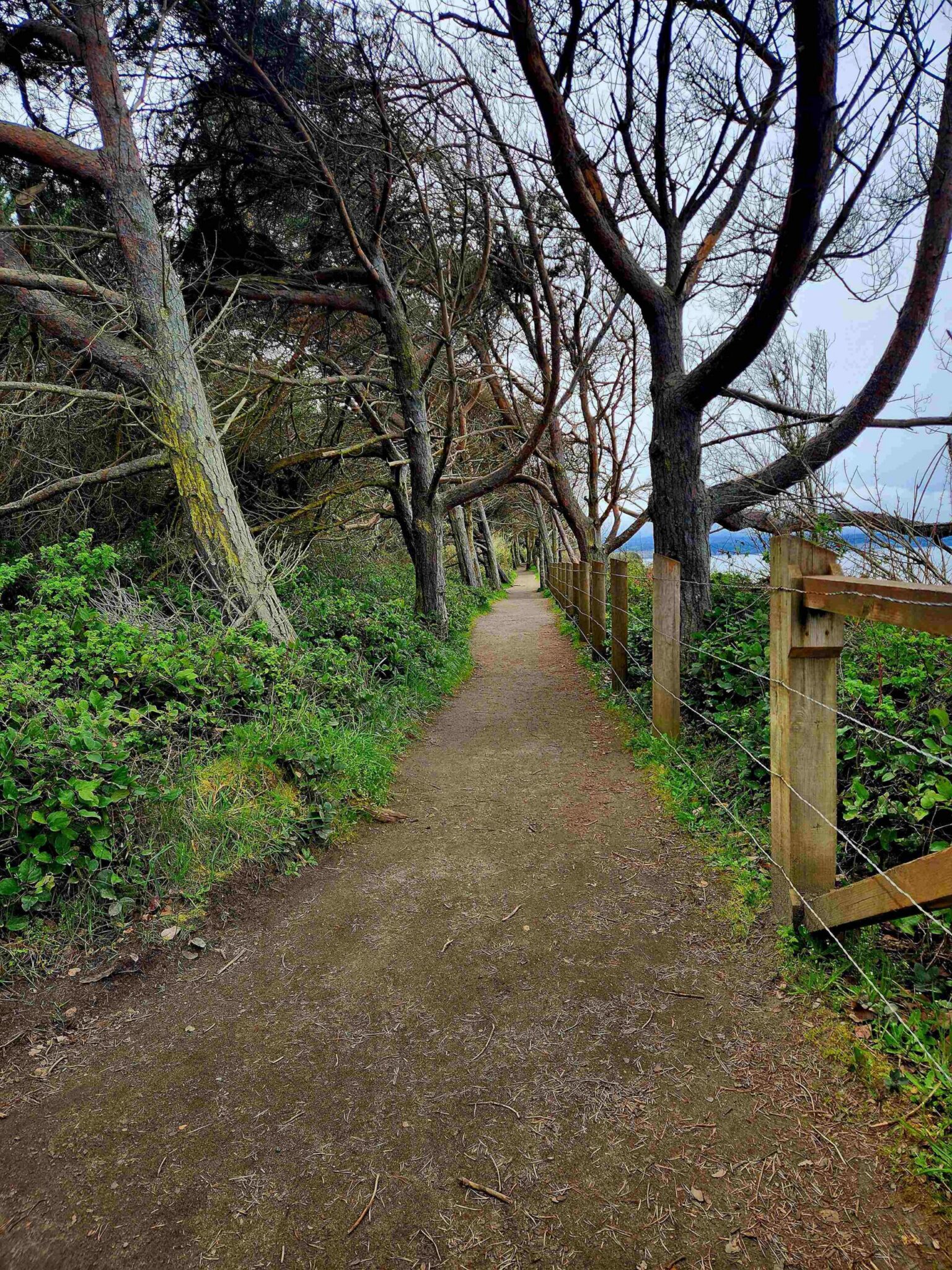 photo of Dungeness Recreation Area path