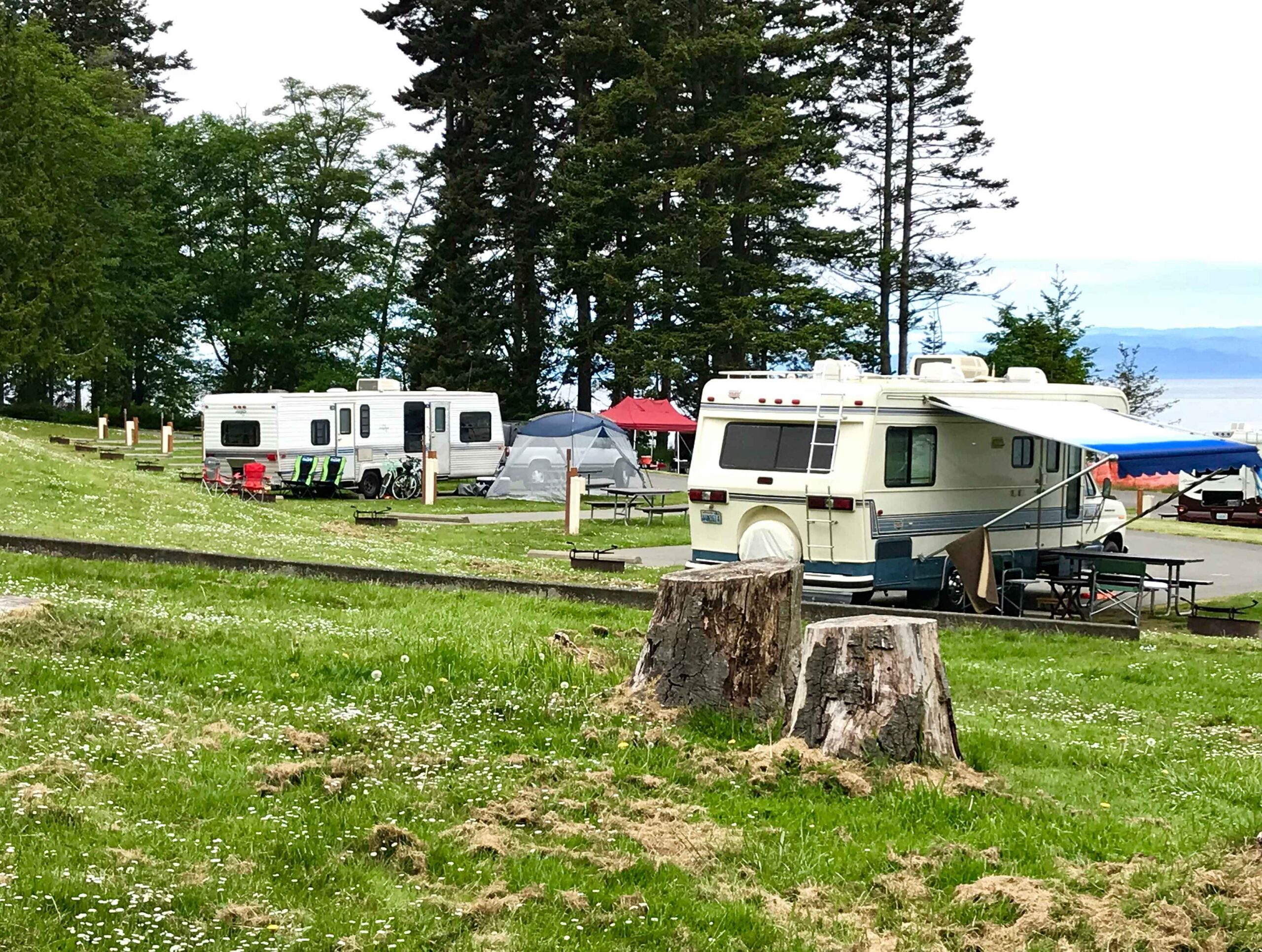 photo of Salt Creek Recreation Area RV sites