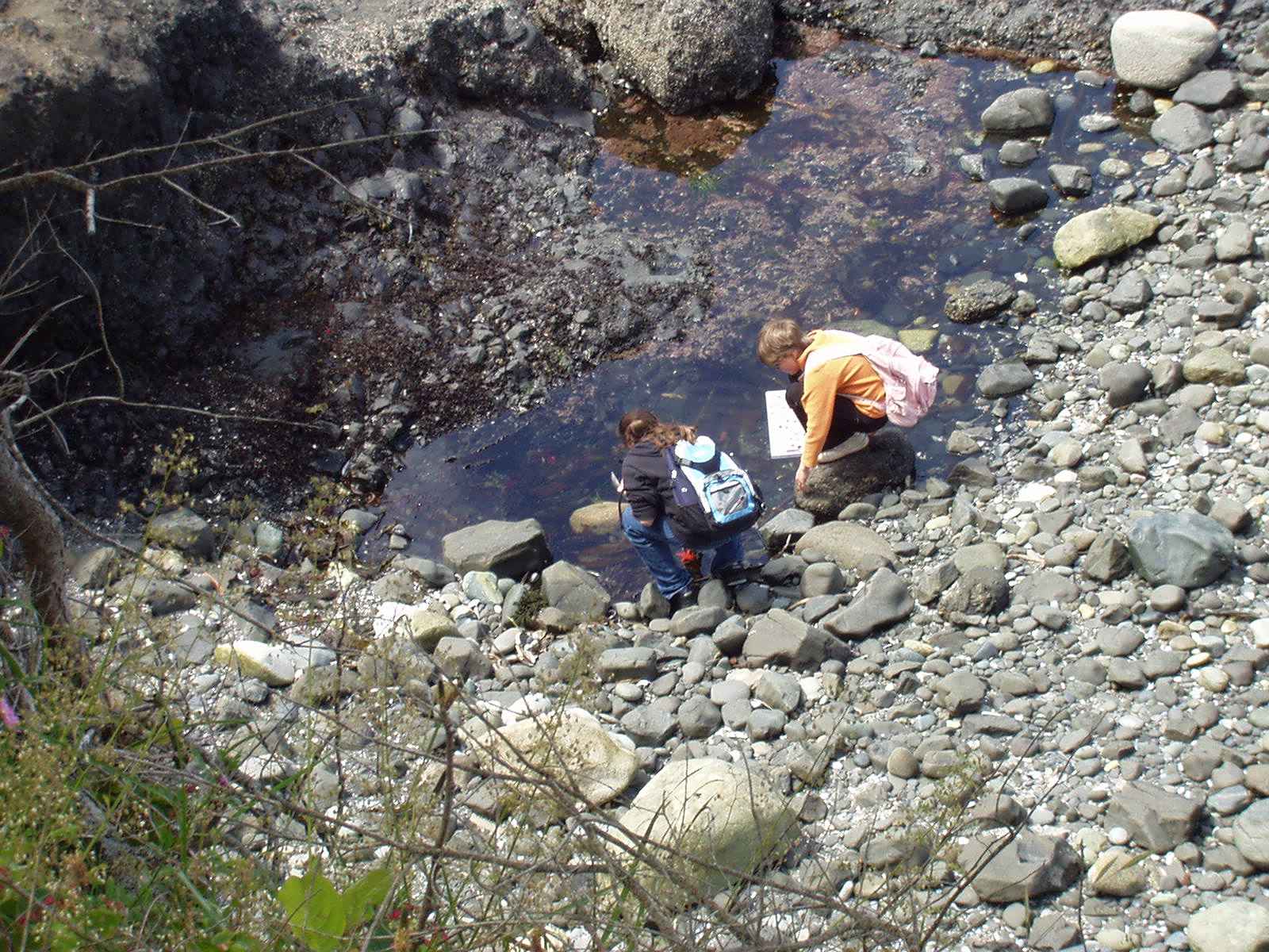 photo of two children exploring tidepools at Salt Creek Recreation Area on the Olympic Peninsula in Washington state | Clallam County Parks Offer Diverse Recreation and Stellar Scenery