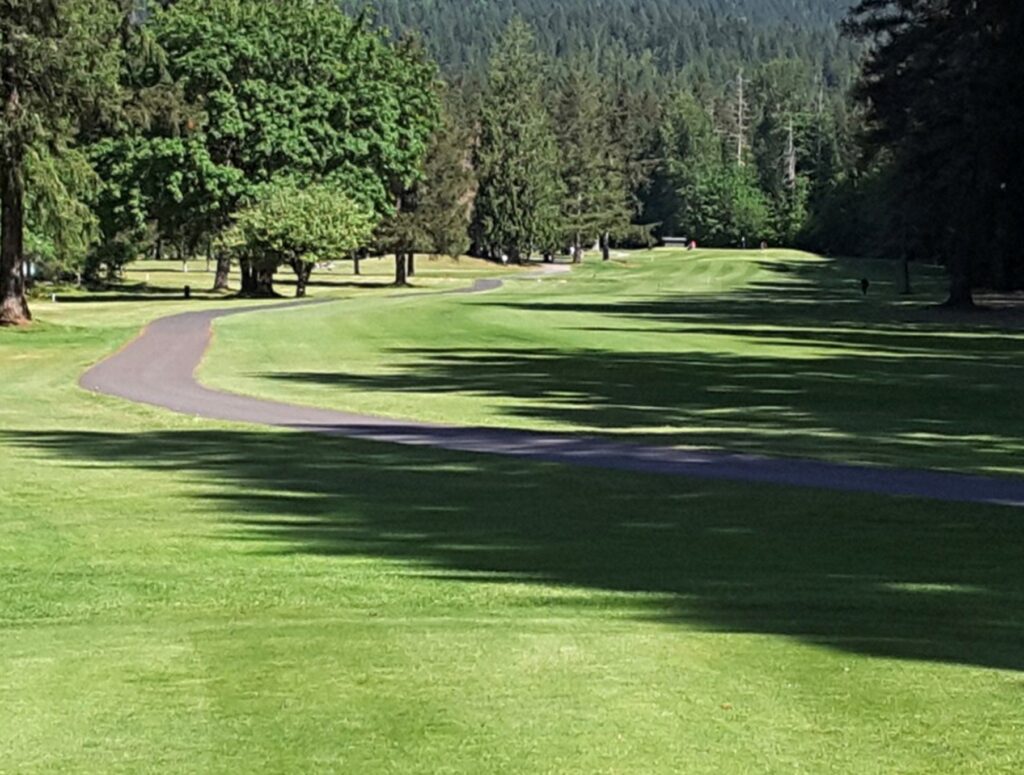 photo of Lake Cushman Golf Course | Golf on the Olympic Peninsula: A Good Walk With a Great View