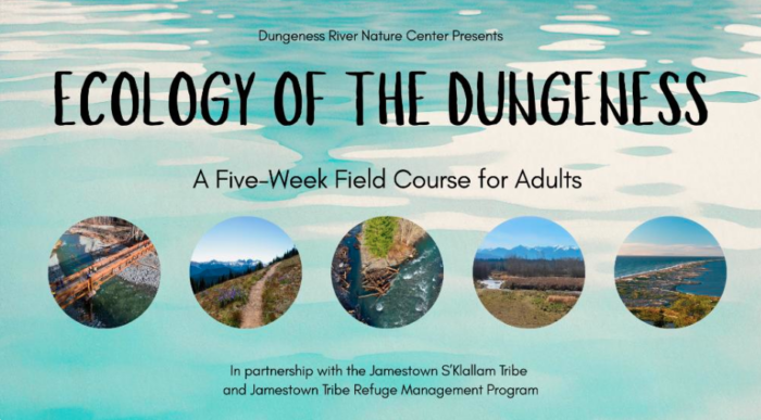 Ecology of the Dungeness 5 week course event graphic