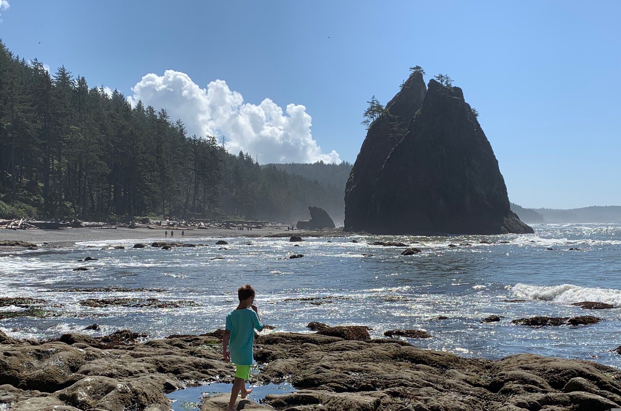 Photo of Tidepooling at Rialto Beach