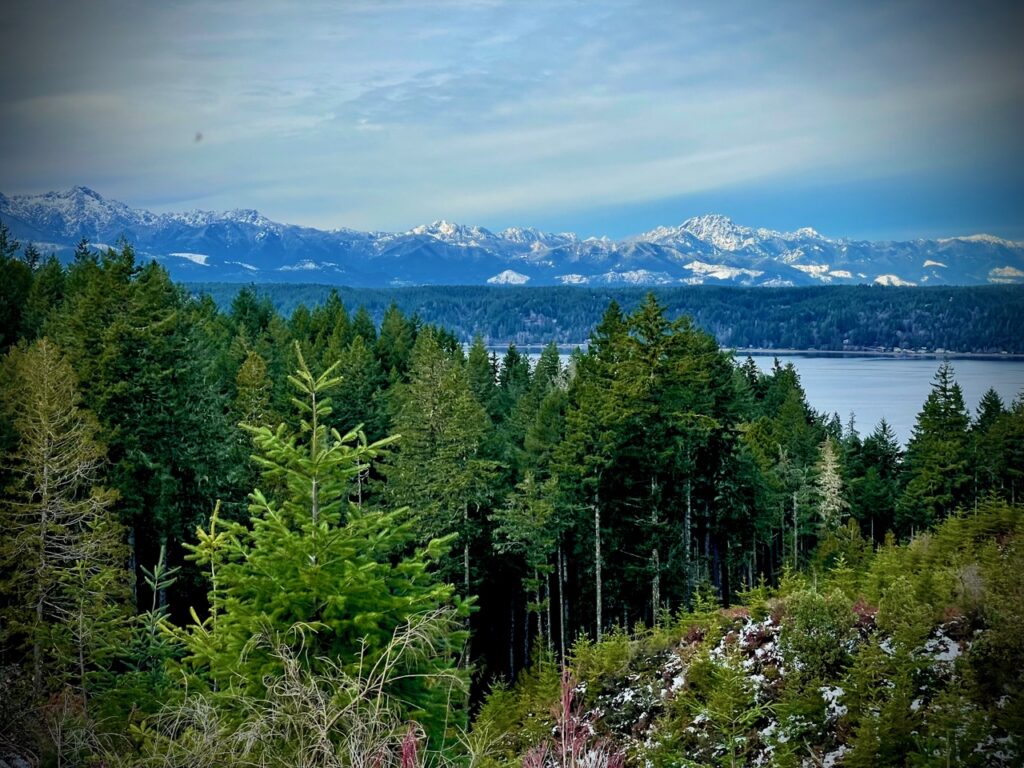 View from the Alderbrook Golf Club | Golf on the Olympic Peninsula: A Good Walk With a Great View