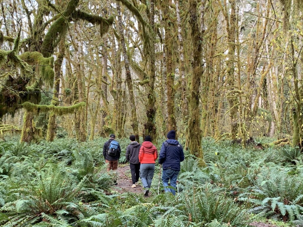 Quinault Rain Forest Hike | September Fall in Grays Harbor County