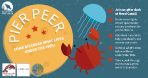 Pier Peer event in Shelton, WA banner graphic