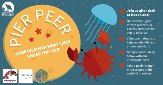Pier Peer event in Shelton, WA banner graphic