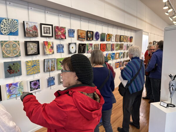 Photo of the Ten By Ten Art Exhibition at Blue Whole Gallery in Sequim, WA