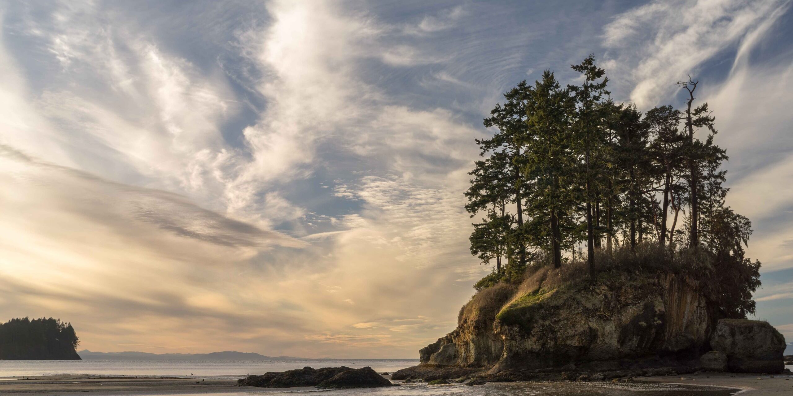 photo of the Salt Creek Sea Stack on the Olympic Peninsula coast in Washington state