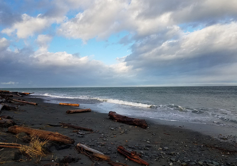 Sandy beach at the Dungeness Spit