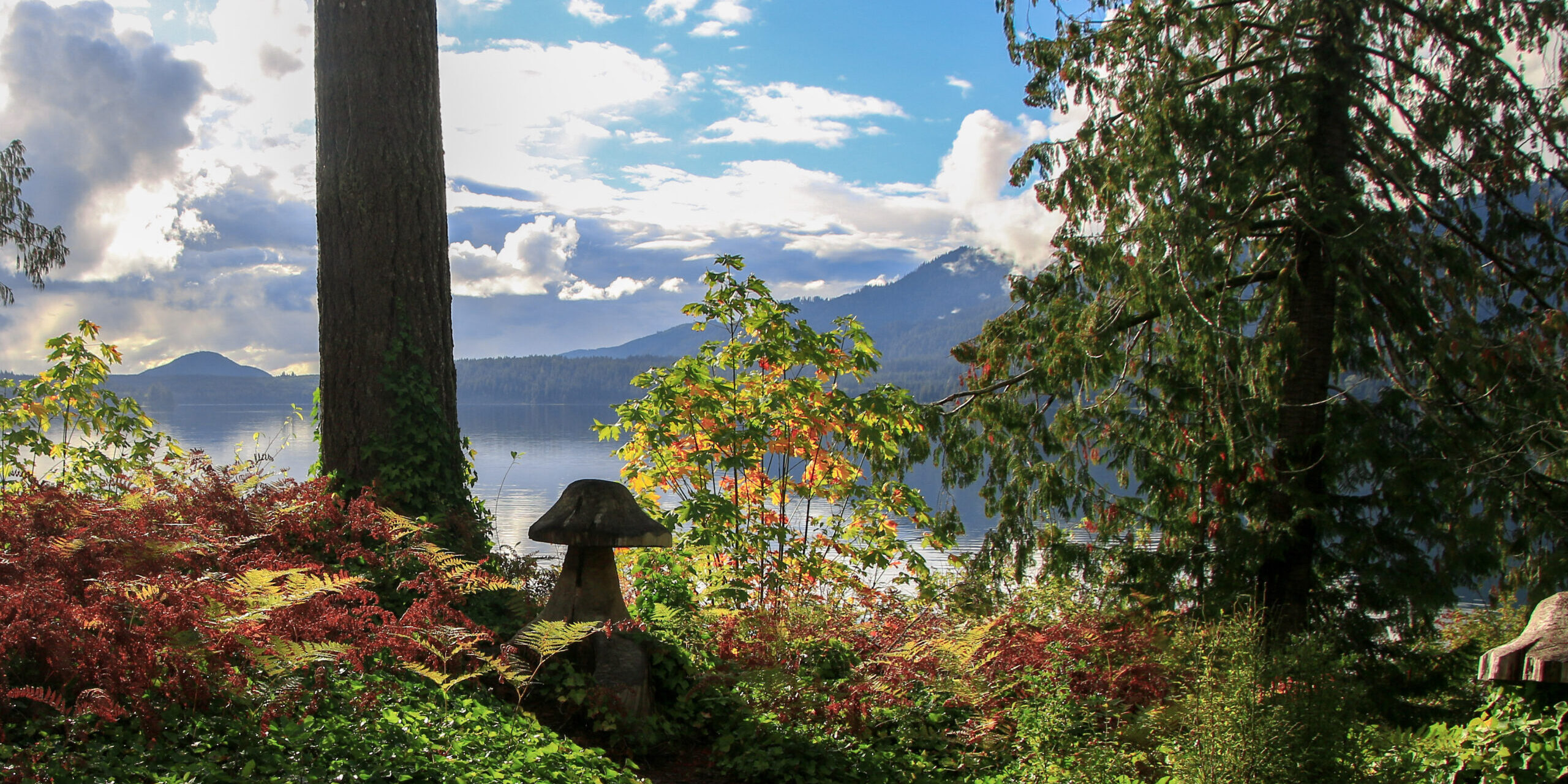 Photo of Lake Quinault in Washington state.